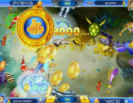 新kiyaun网页版登录